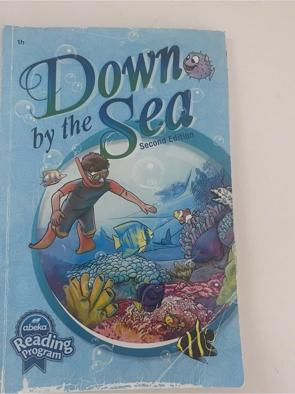 Abeka Down by the Sea Kids Book 1h first grade reading program